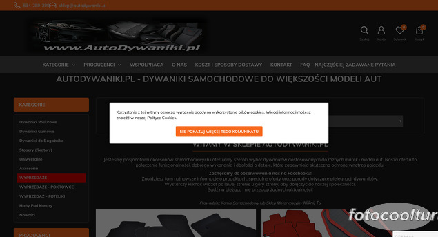 AutoDywaniki.pl Rafał Szczepański