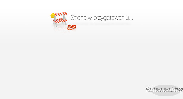 PRO ACTIVE SP Z O O