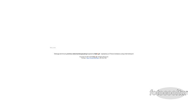 HAMBURGER PINI SP Z O O